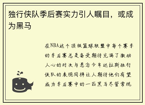 独行侠队季后赛实力引人瞩目，或成为黑马