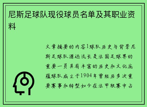 尼斯足球队现役球员名单及其职业资料