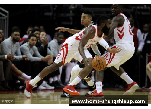 盛世app下载NBA球队猛犸骑士：历史、球员和未来展望