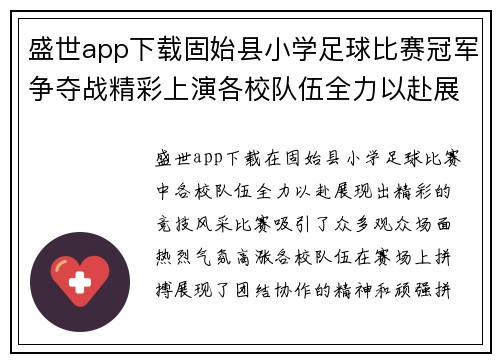 盛世app下载固始县小学足球比赛冠军争夺战精彩上演各校队伍全力以赴展现风采